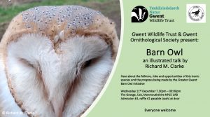 Indoor Meeting - Barn Owl an illustrated talk by Richard M. Clarke @ The Grange